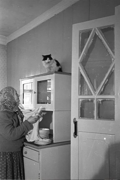 Оцифровка архива как хобби — старая фотография до восстановления